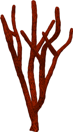 Coral 04 By Clipartcotttage - Clip Art (279x500)