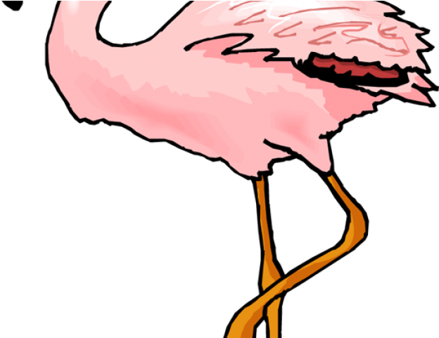 Flamingo Clipart Coral - Gambar Burung Flamingo (640x480)