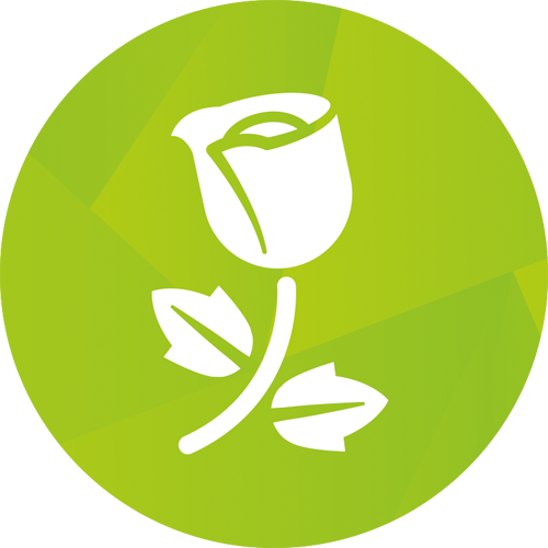 The Sims 4 Romantic Garden Stuff - The Sims 4 (500x500)