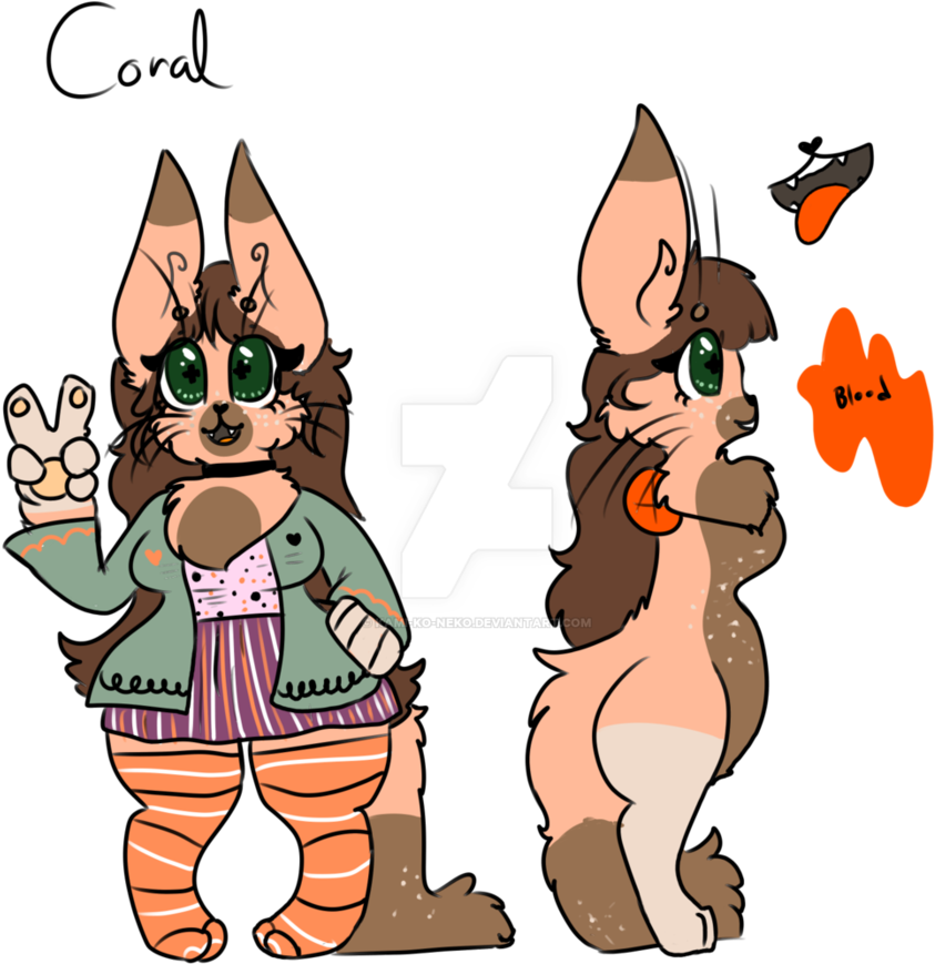 Coral The Cat Ref By Kami Ko Neko - Cartoon (894x894)