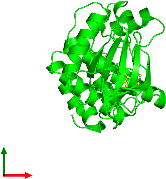 <div Class='caption-body'><ul Class ='image Legend - Graphic Design (800x800)