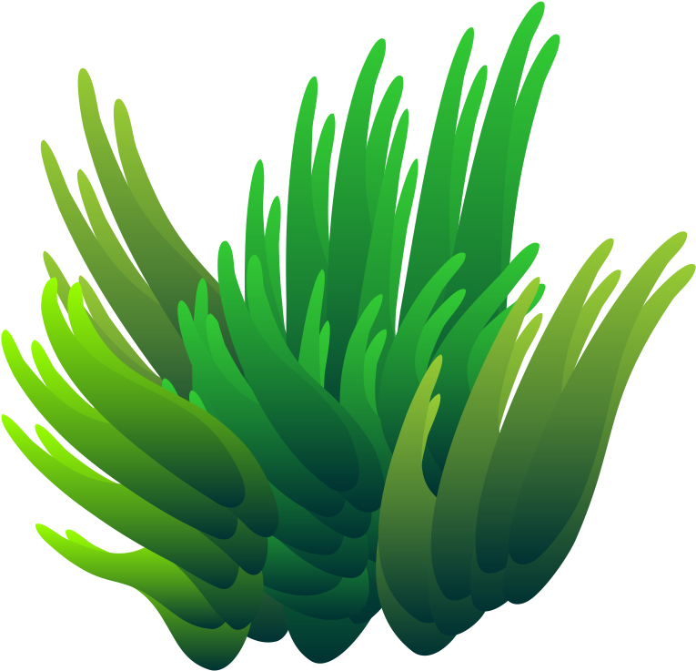 Para Mejorar El Aspecto De Estos Vamos A Aplicarle - Illustration (780x739)