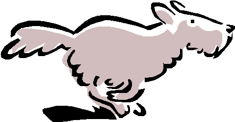 Dog Art - Dirty Dog Trail Run (481x254)