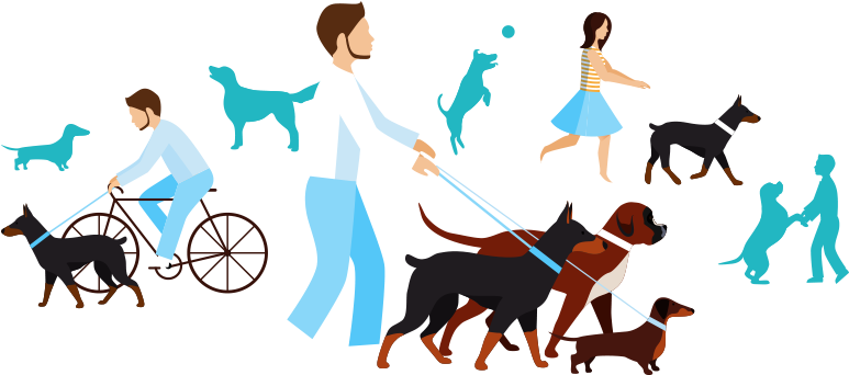 Learn More - Man (780x410)