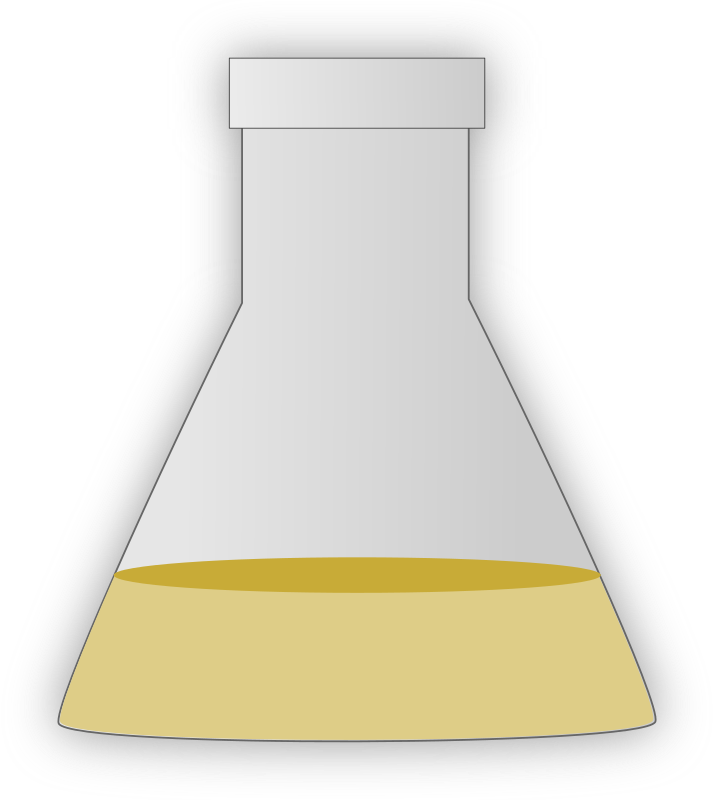 Erlenmeyer Flask - Culture In Conical Flask (714x800)