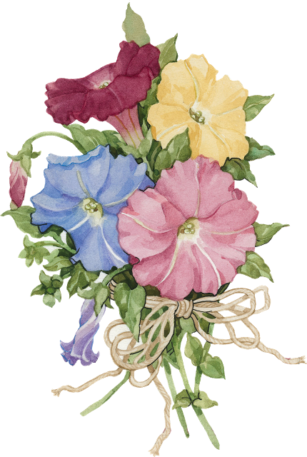 Vintage Flowers, Die Cutting, Tube, Bouquets, Evans, - Morning Glory (430x640)