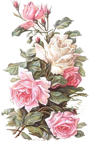 Vintage Flower Prints, Vintage Flowers, Flower Paintings, - Paris Rose (309x500)