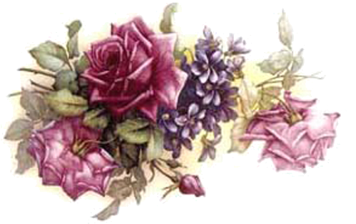 Rose - Magpie 6c Sando Pink English Bone China Teapot (498x360)