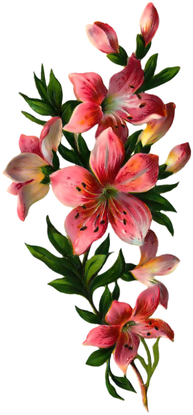 Flower 39 - Daily Prayer Book For Moms (279x600)