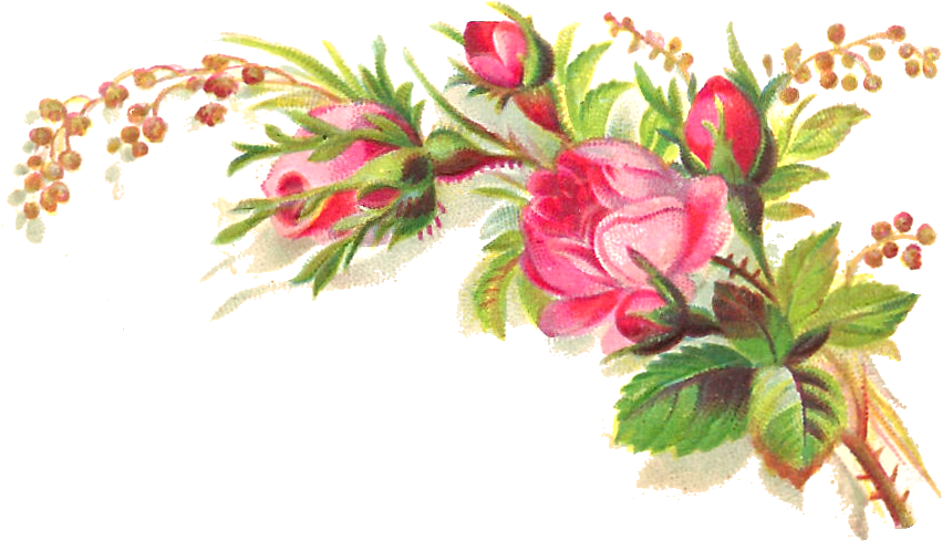 1000 Images About Downloads-vintage Flowers On Pinterest - Aveeno (893x506)