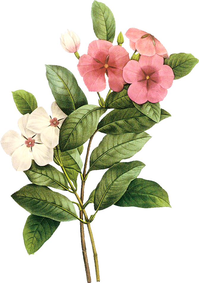 Flower Image Watercolor Painting Design - 3 Fold Fashion Genuine Leather Women Wallets Patchwork (670x952)