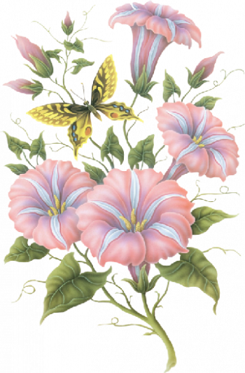 Tubes De Kore - Botanical Morning Glory Painting (350x532)