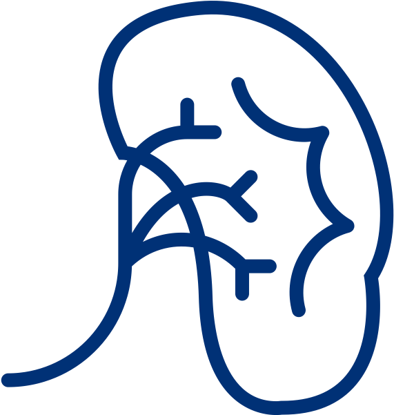Chronic Kidney Disease - - Chronic Kidney Disease (800x800)