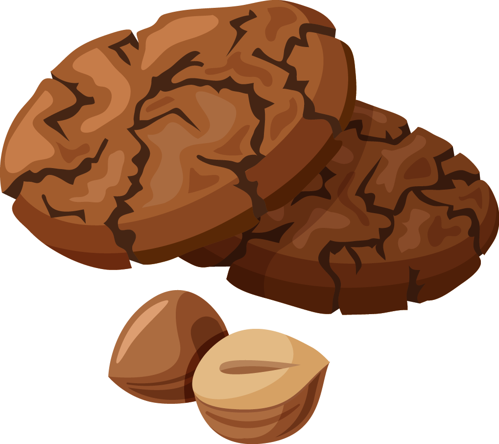 Chocolate Chip Cookie Hot Chocolate Clip Art - Brownie Clipart (1019x906)