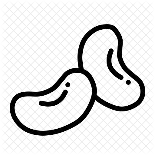 Kidney Icon - Vegetable (512x512)