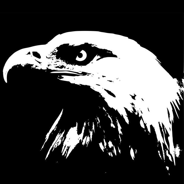 Bald Eagle Illustration 20, Buy Clip Art - Bald Eagle (720x720)