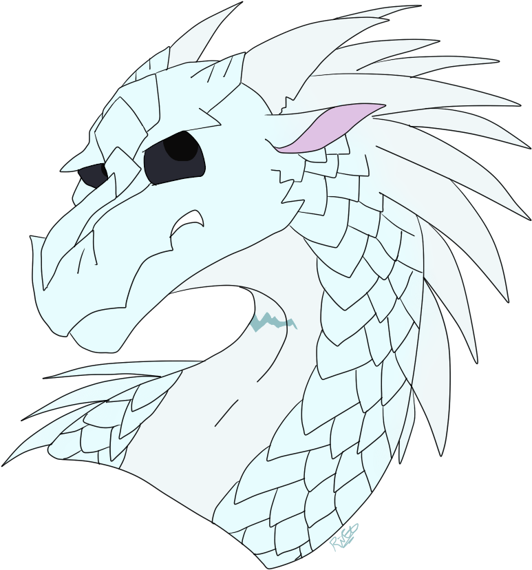 Snow Leopard - Cheetah (1000x1000)