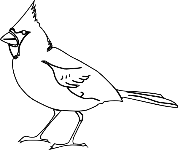 Cardinal Bird Clipart Illustration - Black And White Cardinals Clipart (600x506)