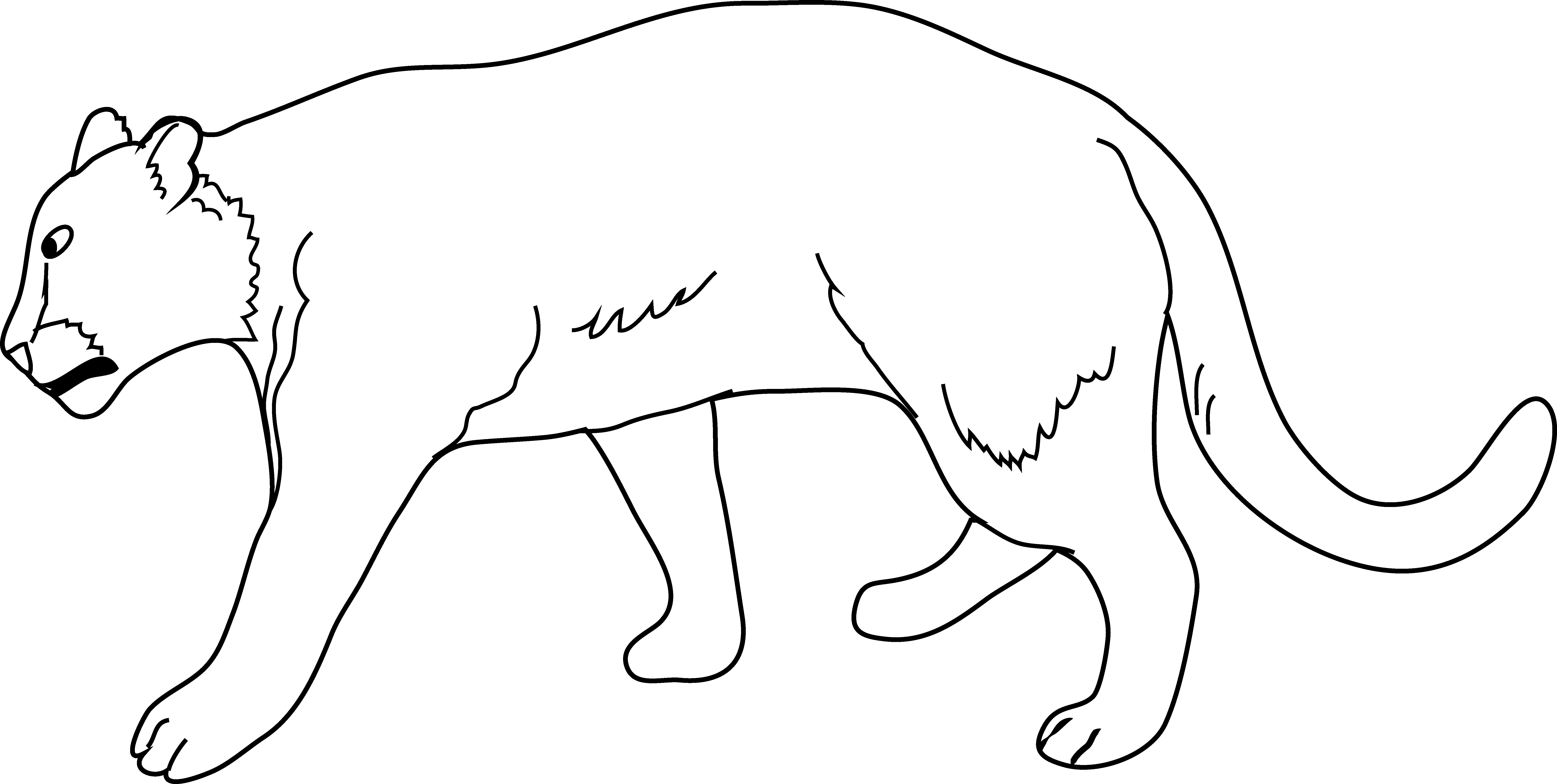 Lioness Cartoon - Female Lion Colour Pages (7539x3798)