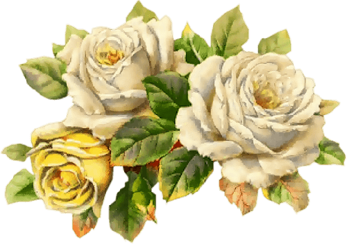 So Shabby Pink Paper Scrapbook Roses 5 Jan 2015 - Flores Vintage Png (500x352)