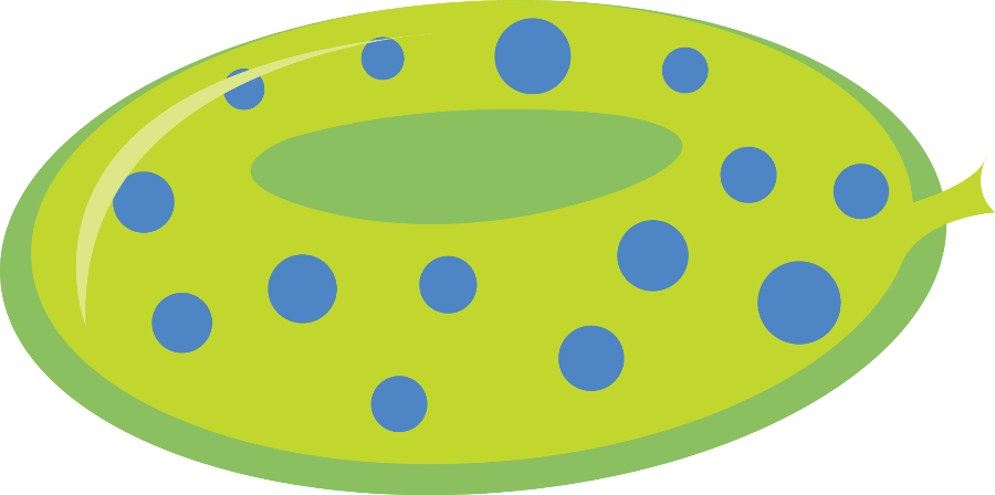 Praia E Piscina - Circle (900x448)