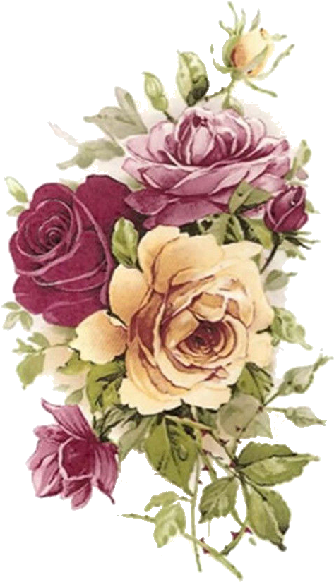 More - - English Fine Bone China - Summertime Roses Mug (500x836)
