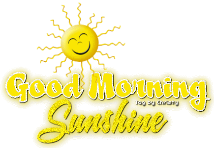 Other Popular Collections - Good Morning Sunshine Animated (435x302)