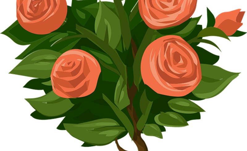 Moving Clip Art Flower Bouquet Gardening Flower And - Shrubs Plants Rose Clipart (800x491)