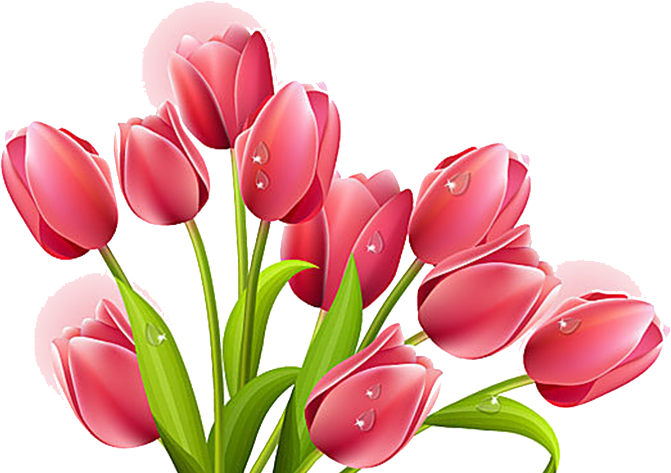 Tulip Flower Bouquet Clip Art - Tulips Flowers Clip Art (1536x1600)