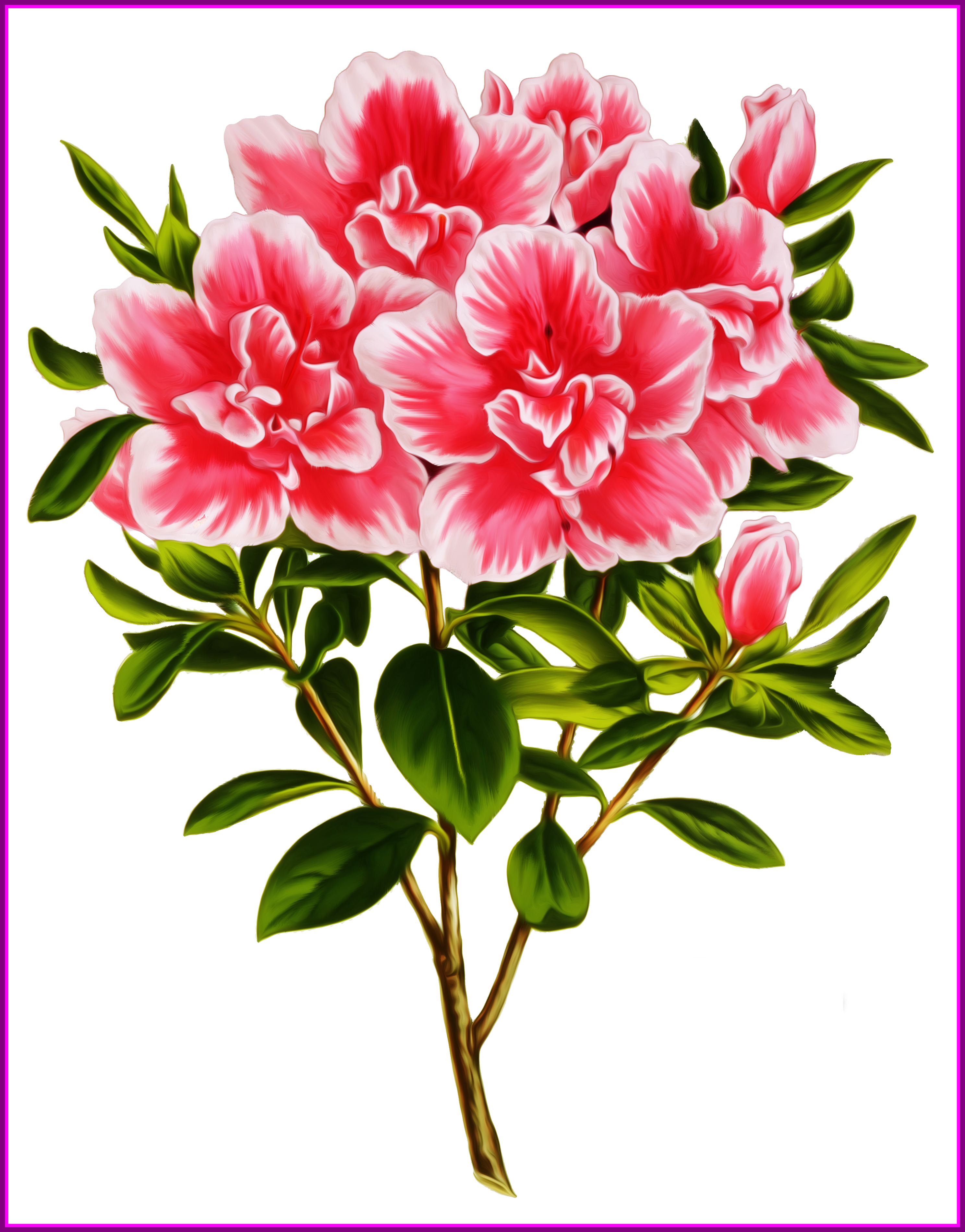 Bouquet Clipart Flower Bouquet Clipart Transparent - Clip Art (2975x3800)