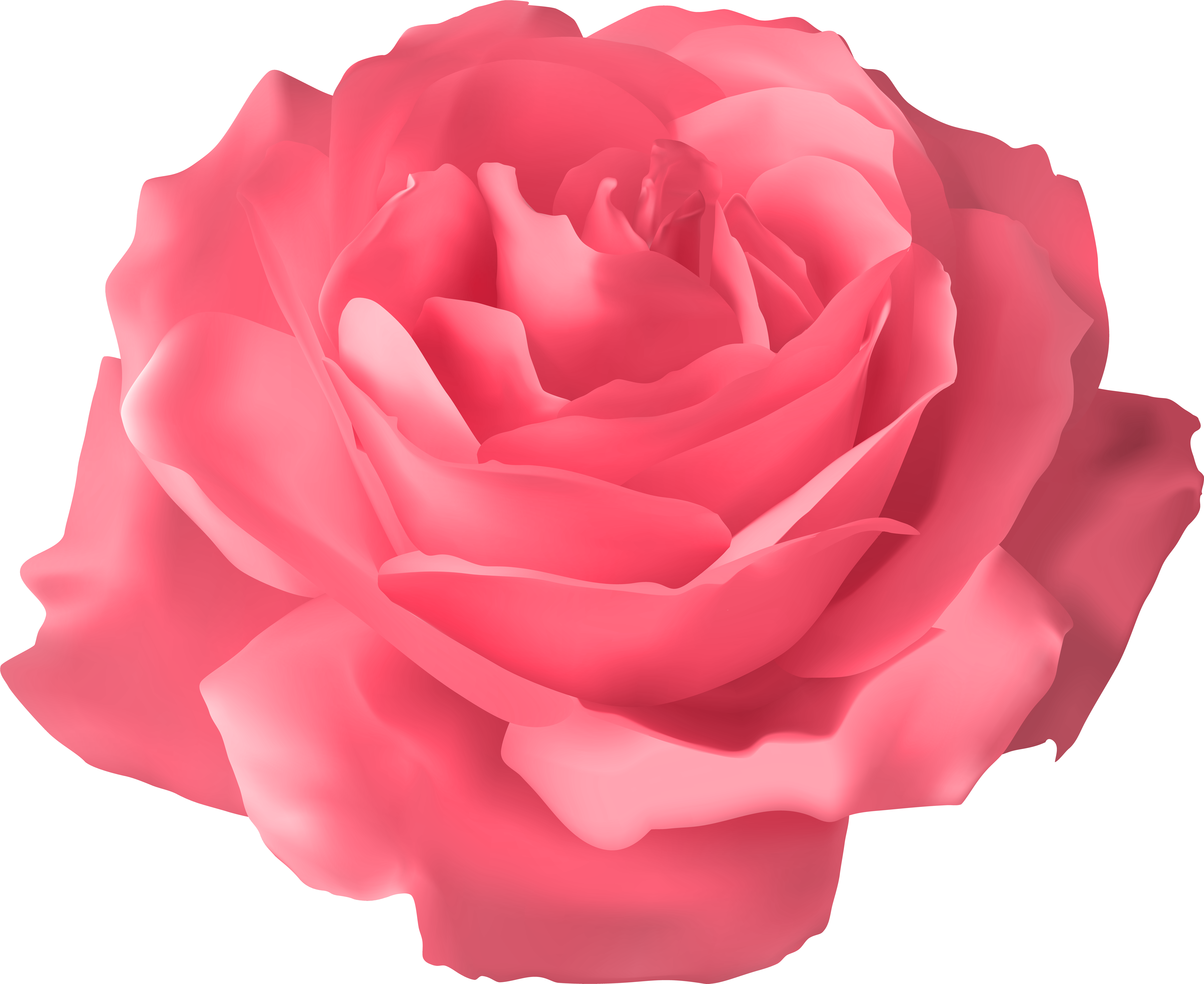 Blue Rose Clip Art - Blue Rose Clip Art (8000x6540)