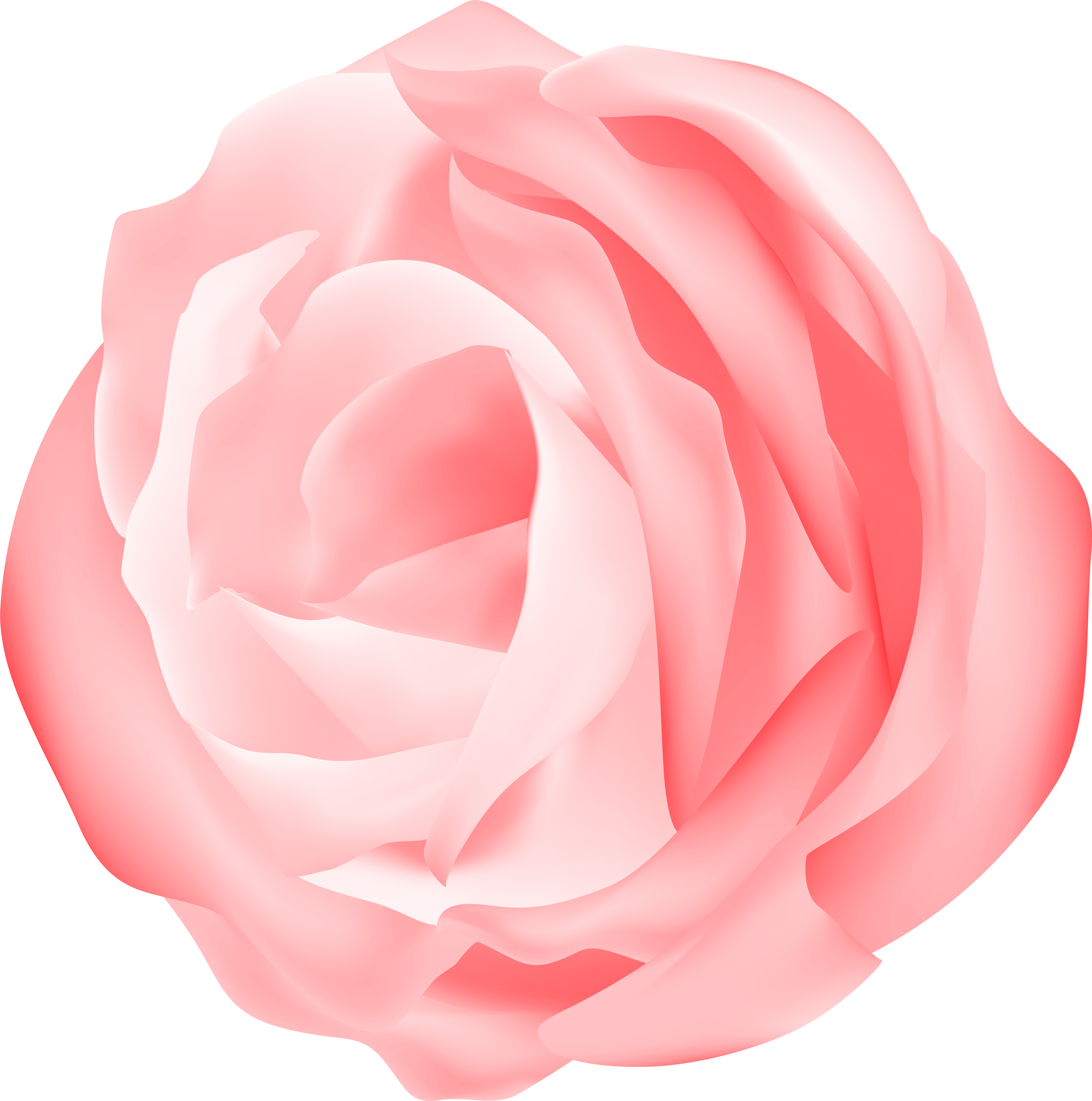 Camellia Clipart Digital Camellia Flower Clip Art Pink - Camellia Clipart Digital Camellia Flower Clip Art Pink (7929x8000)