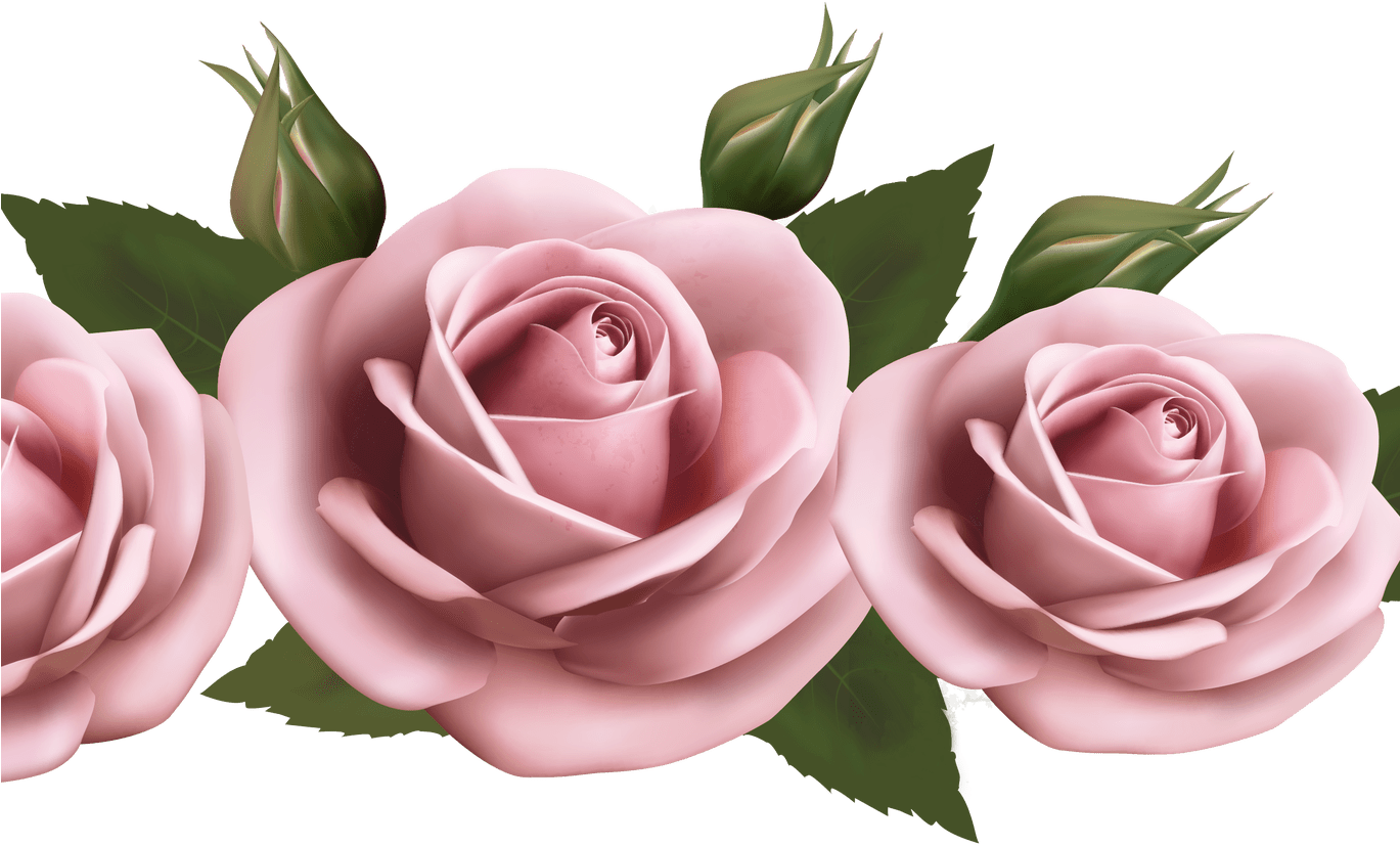 Beautiful Transparent Pink Roses Png Picture Gallery - Flowers On A Paper Background (1368x855)