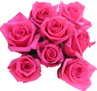 Pink Rose Png Pink Roses - Pink Roses (400x374)
