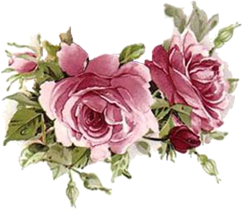 Lilac Tea Roses & Swags Shabby Waterslide Decals ~medium~ - Flower Vintage Png Pink (500x420)