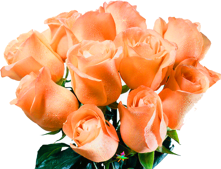 Изображение Для Плейкаста - Ramos De Rosas Rosadas (800x600)