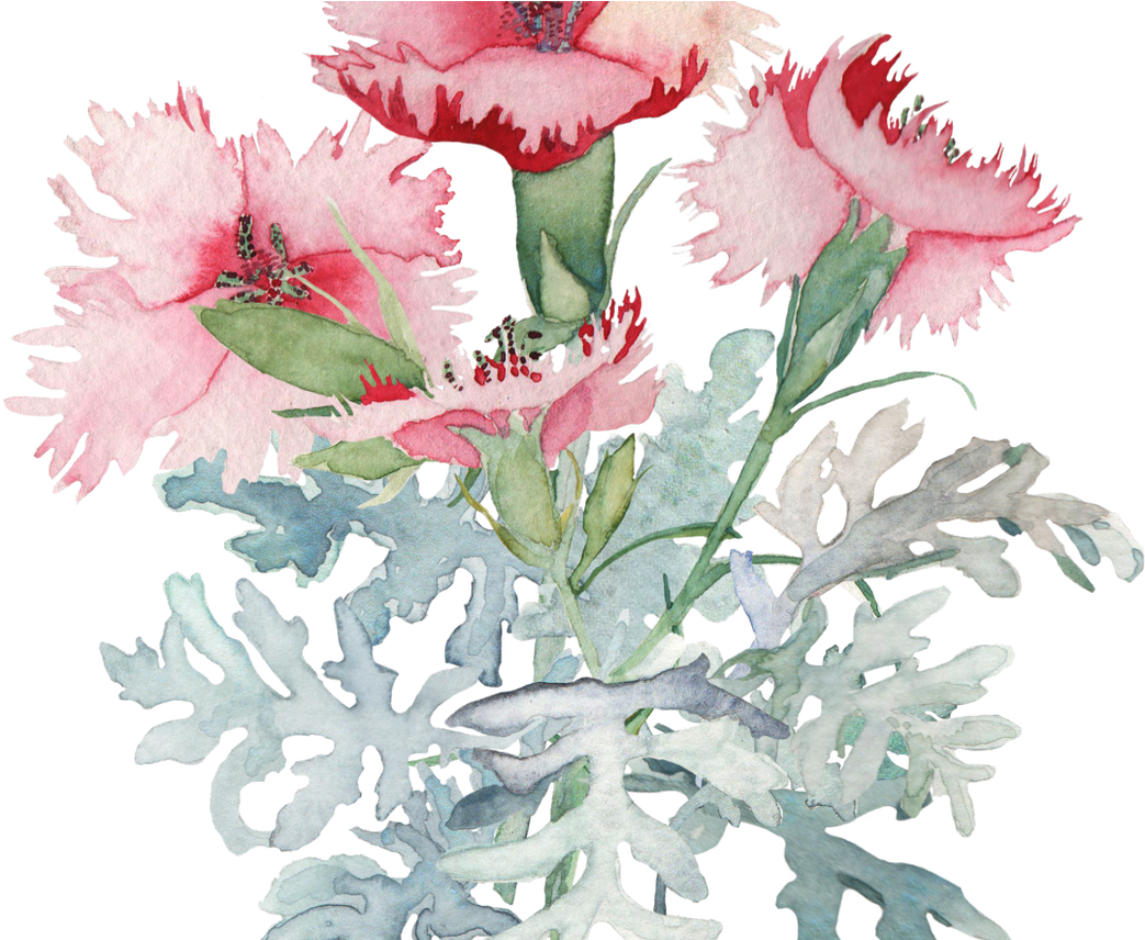 Watercolor Poppy Leaves Google Search Tattoos Pinterest - Spring Flower Watercolor Bouquet Png (1368x855)