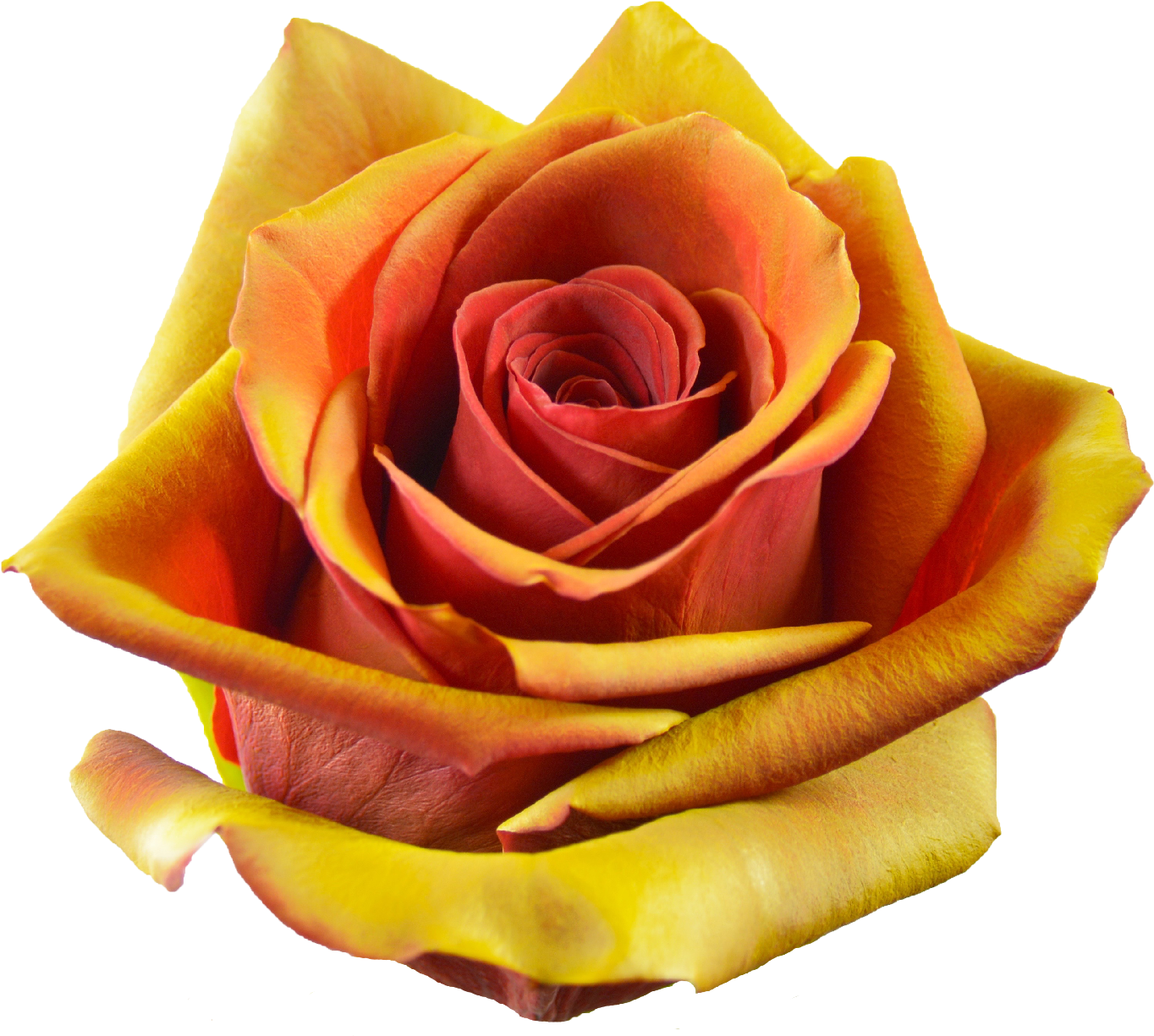 19 Explosive Fire - Fire (1417x1417)