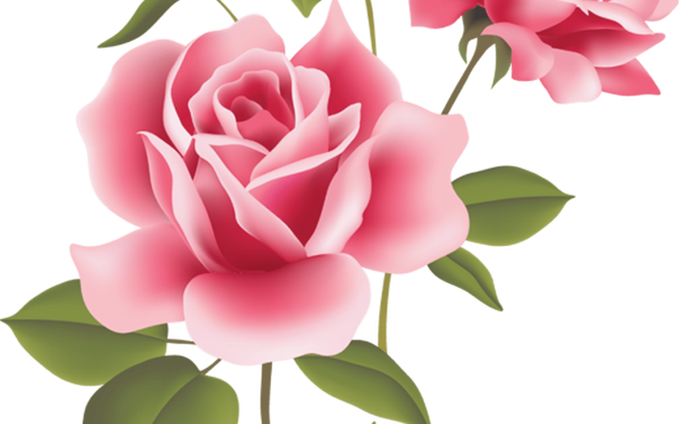 Web Design & Development Clip Art, Decoupage And Envelopes - Clip Art Rose Flower (1368x855)