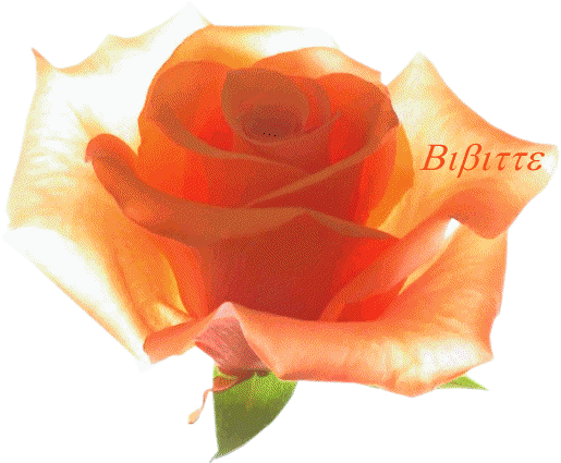 Source D'amour - Bon Nuit Ma Belle (515x425)