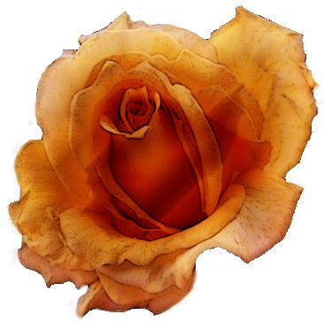 Flowers Vintage Png Scrapbooking, Scrap - Clip Art (570x427)