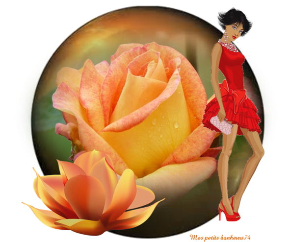 Hybrid Tea Rose (600x503)