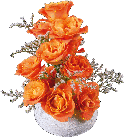 Rose Images Hd Download (455x512)