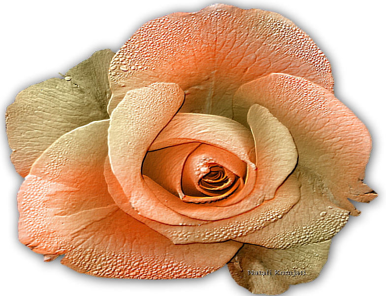 Фотографии В Альбоме «***мои Работы Из Папки», Автор - Garden Roses (784x600)