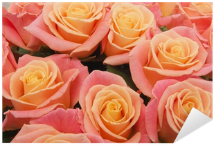 Vinilo Pixerstick Rosa Fondo Rosas Naturales • Pixers® - Rose (400x400)