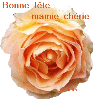 Bonne Fête Mamie Chérie - Bonne Fete Mamie Cherie (351x377)