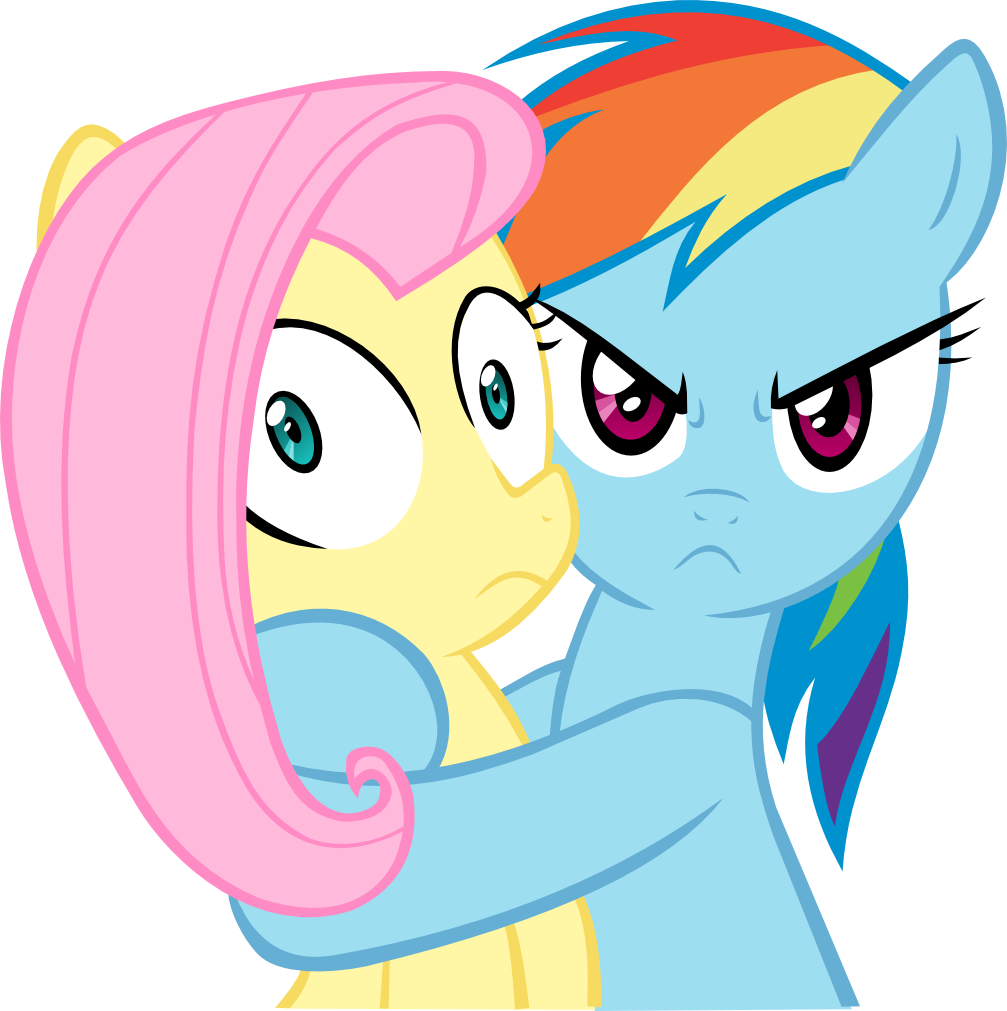 Rainbow Dash, Fluttershy And Twilight Sparkle Are Best - Rainbow Dash X Fluttershy (1007x1011)