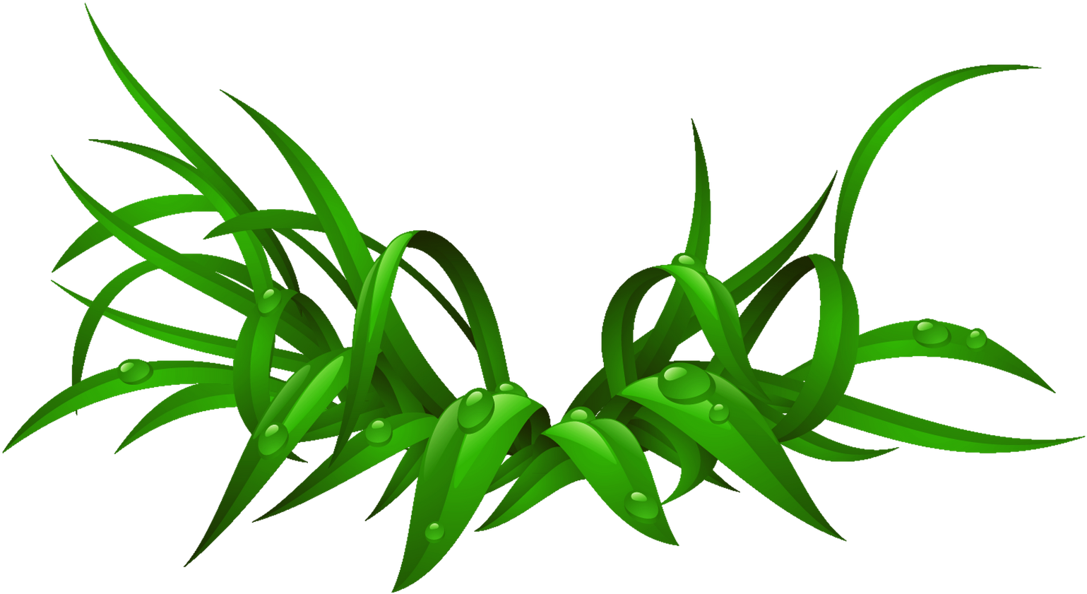 Iron-on Desktop Wallpaper Photography Clip Art - Vector (1600x1431)