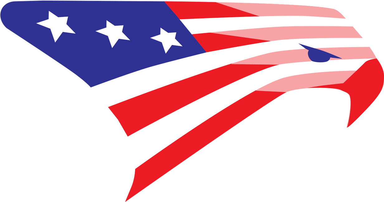 Flag Of The United States (1263x675)