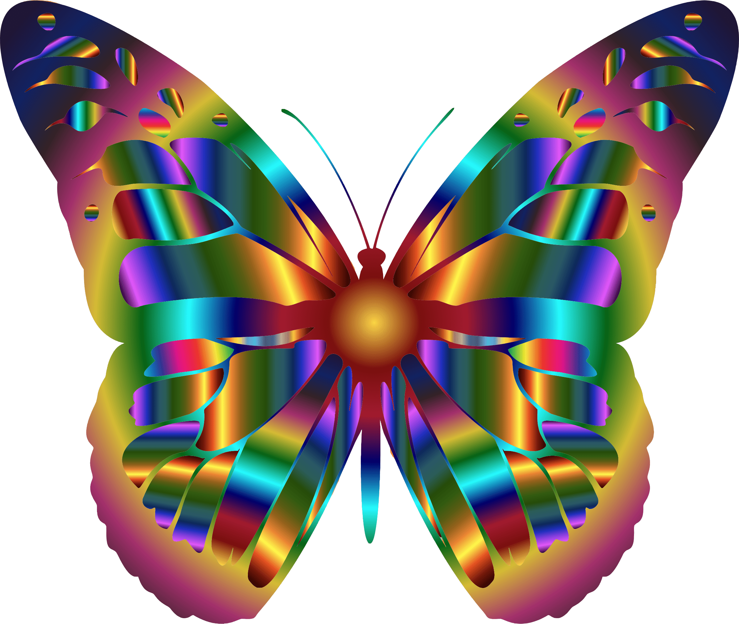 Rainbow Butterfly Png - Real Rainbow Monarch Butterfly (2400x2028)